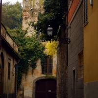 Photo de Italie - Florence, musée à ciel ouvert